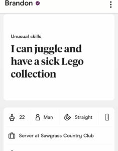 dating profile screenshot saying he has a sick lego collection and can juggle