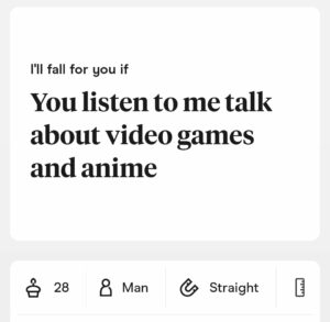 dating profile screenshot asking a partner to listen to them talk about video games and anime