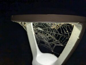 a light fixture of some kind illuminating spiders webs under its canopy and a spider in the forefront